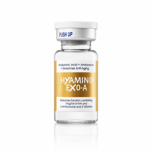 hyamino-ex0-a.png