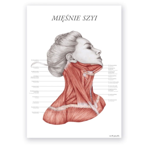 plakat_miesnie_szyi.jpg