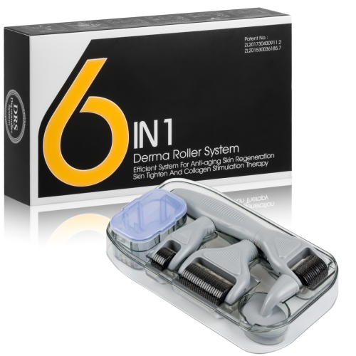 Derma Roller 6w1.png
